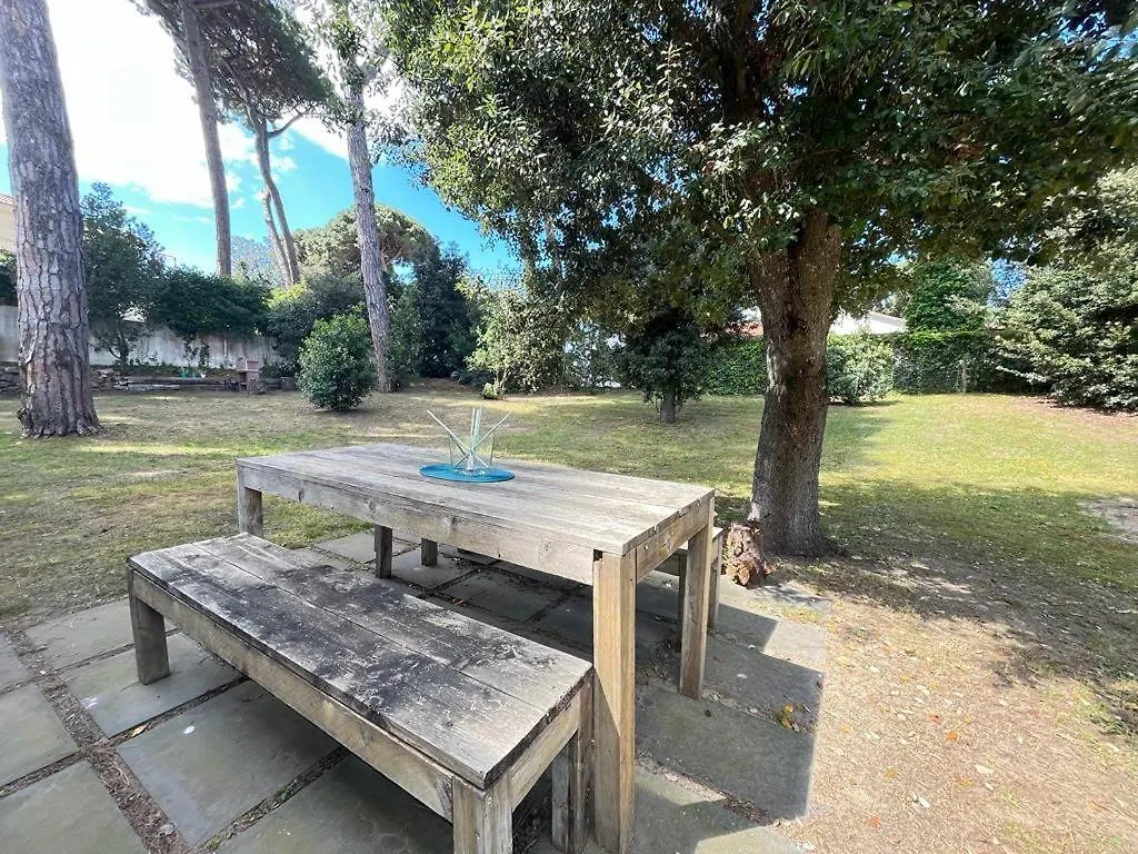 Pineta Apartament Tirrenia 0*,  Italy