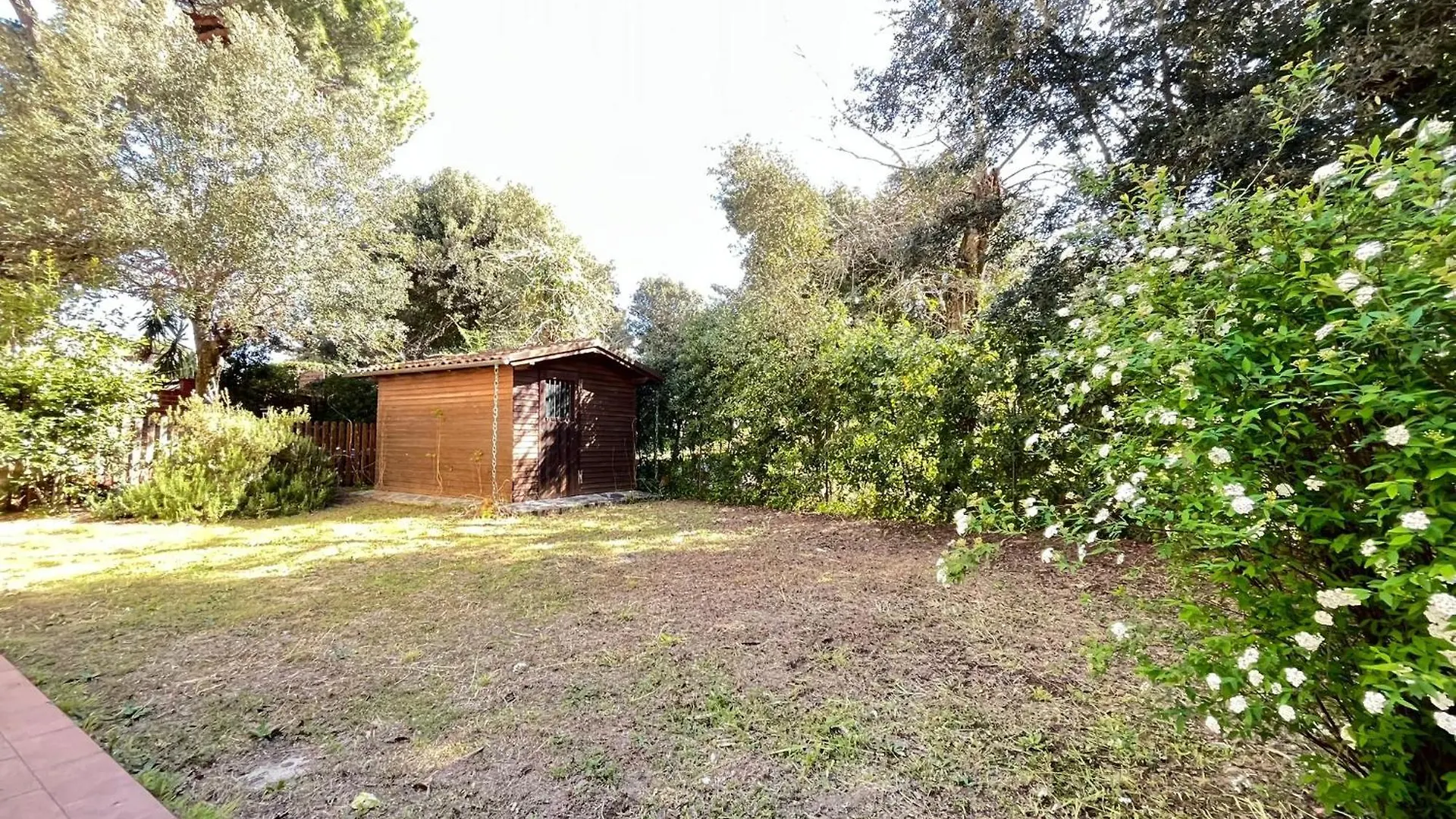 Apartment Pineta Apartament Tirrenia Italien